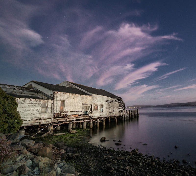 Bodega Bay