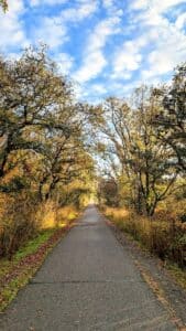 Joe Rodota Trail