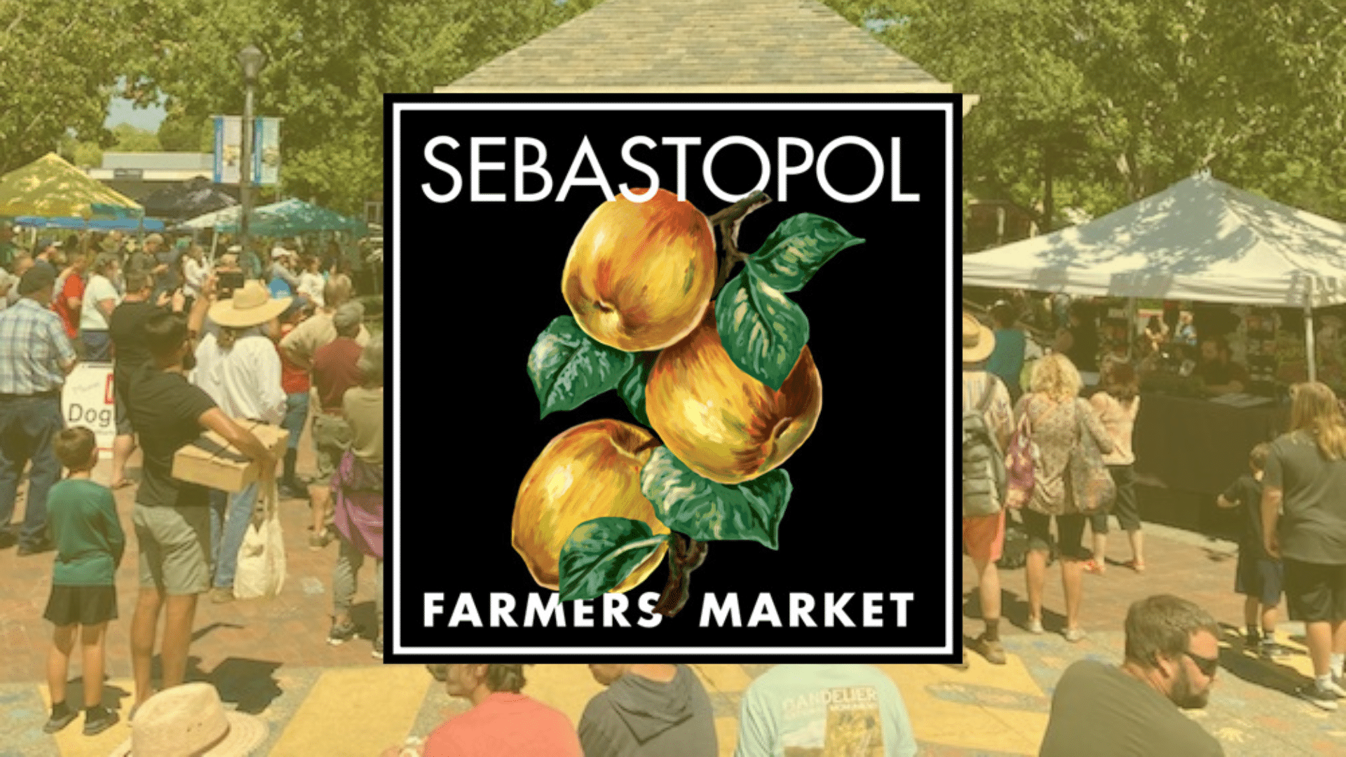 Sebastopol Farmers Market