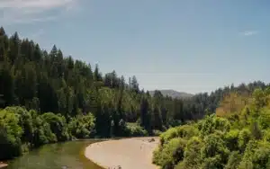 Johnson's Beach Russian River