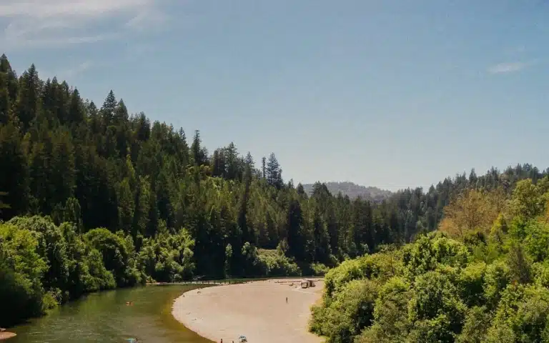 Johnson's Beach Russian River